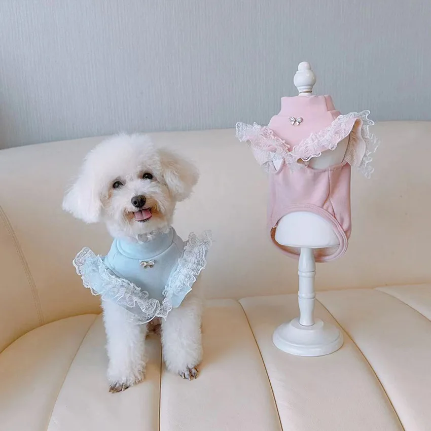 Haustierkleidung, Herbst- und  – Lace Teddy Lingerie Bewertung und Preis